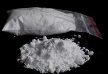 31 kg de cocaïne dissimulés dans un véhicule transporté par semi-remorque saisis