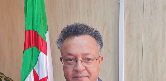 L’Algérie crée un Haut conseil pour les élites de sa diaspora