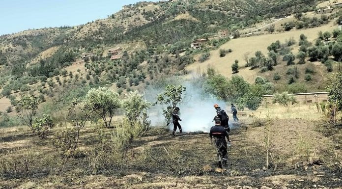 Point de situation sur les incendies : 80 % des feux maîtrisés