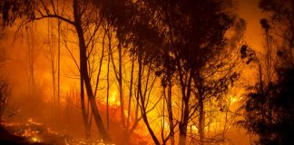 Incendies