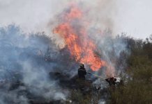 Les causes de certains incendies présentent un caractère criminel