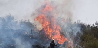 Les causes de certains incendies présentent un caractère criminel