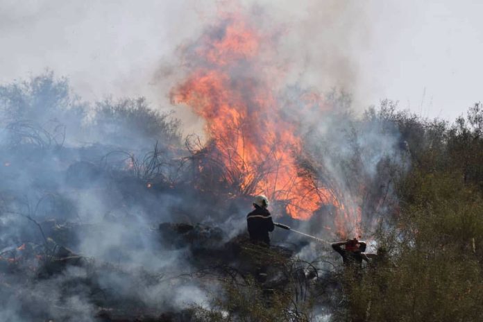Incendies