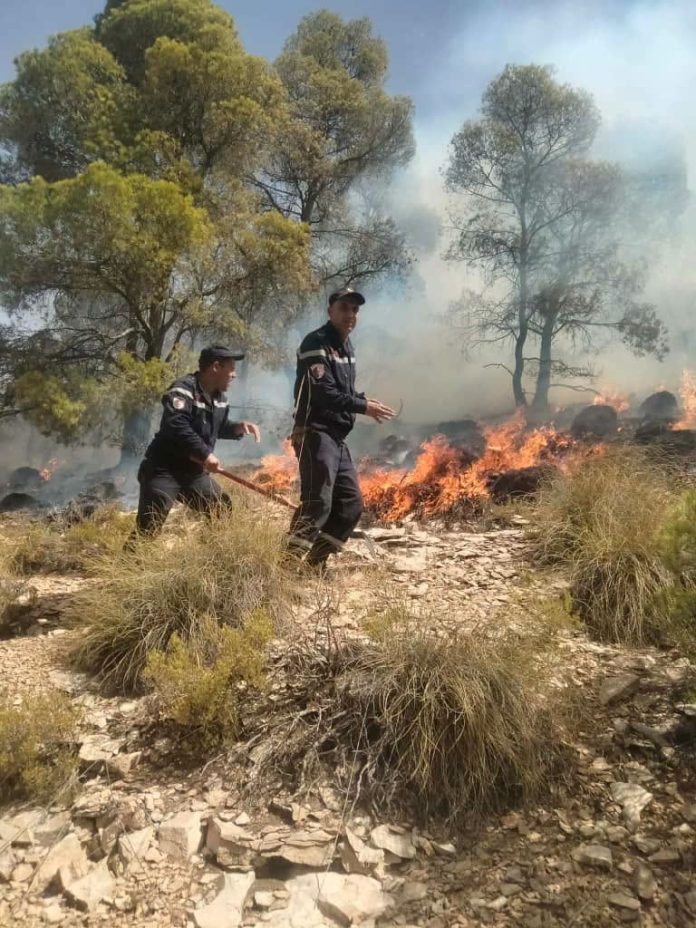 Incendies de forêts