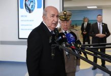 Tebboune sur les incendies : « la piste criminelle n’est pas exclue »
