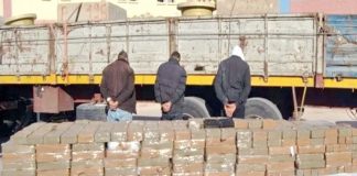 Algérie : octroi de primes pour dénoncer les trafiquants de drogue